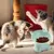 Zoomtopia Gamelle chat surélevée anti-vomissement inclinable 15° Zoomtopia Gamelle chat surélevée anti-vomissement inclinable 15°