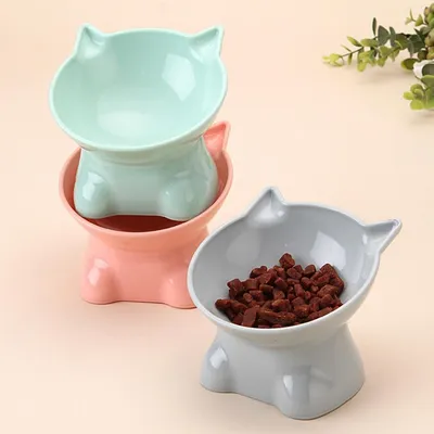 Zoomtopia Gamelle chat surélevée anti-vomissement inclinable 15° Zoomtopia Gamelle chat surélevée anti-vomissement inclinable 15°