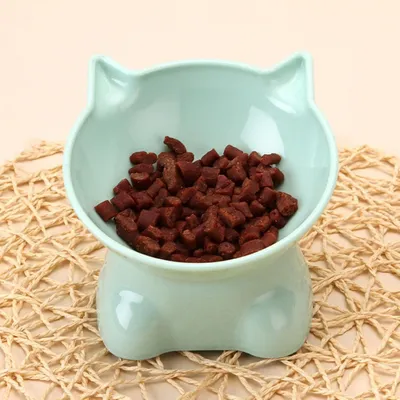 Zoomtopia Gamelle chat surélevée anti-vomissement inclinable 15° Zoomtopia Gamelle chat surélevée anti-vomissement inclinable 15°