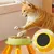 FurryFusion Gamelle sur pied pour animaux de compagnie