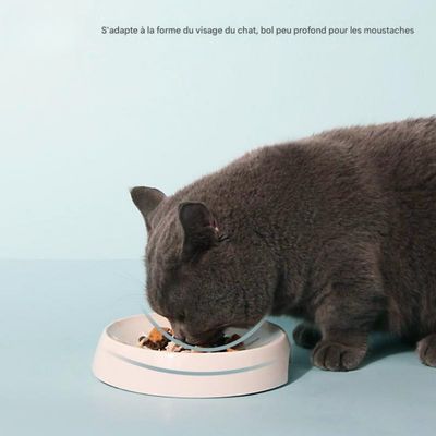 FurryFusion Gamelle pour chat en duo