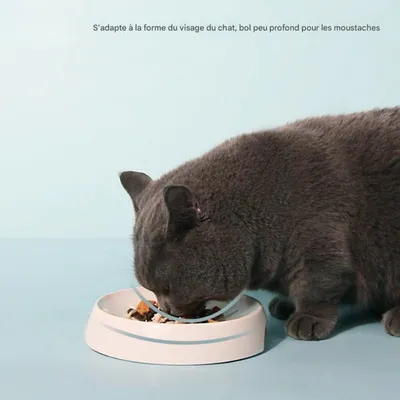 FurryFusion Gamelle pour chat en duo FurryFusion Gamelle pour chat en duo