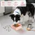 MCBOSON (500ml Pliable Voyage) Bol Chien Chat Petit Moyen MCBOSON (500ml Pliable Voyage) Bol Chien Chat Petit Moyen