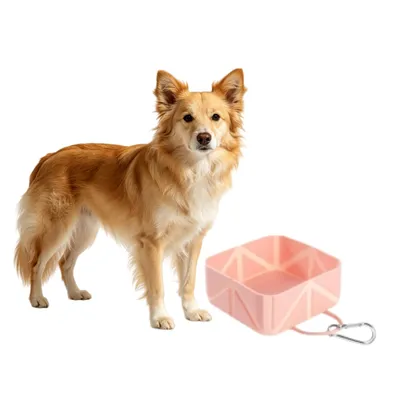 MCBOSON (500ml Pliable Voyage) Bol Chien Chat Petit Moyen MCBOSON (500ml Pliable Voyage) Bol Chien Chat Petit Moyen