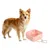 MCBOSON (500ml Pliable Voyage) Bol Chien Chat Petit Moyen MCBOSON (500ml Pliable Voyage) Bol Chien Chat Petit Moyen