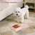 MCBOSON (500ml Pliable Voyage) Bol Chien Chat Petit Moyen MCBOSON (500ml Pliable Voyage) Bol Chien Chat Petit Moyen