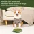 Gamelle Anti-Glouton PetTribes Vert Silicone Antidérapante Chien Gamelle Anti-Glouton PetTribes Vert Silicone Antidérapante Chien