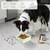 MCBOSON Bol voyage pliable 501ml chien petit/moyen chat MCBOSON Bol voyage pliable 501ml chien petit/moyen chat