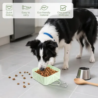 MCBOSON Bol voyage pliable 501ml chien petit/moyen chat MCBOSON Bol voyage pliable 501ml chien petit/moyen chat