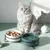 ZooVenture Bol Chat Céramique - Support Métal, 400 ml, Vert ZooVenture Bol Chat Céramique - Support Métal, 400 ml, Vert