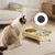 FurryFusion Ensemble de bols surélevés pour chats FurryFusion Ensemble de bols surélevés pour chats