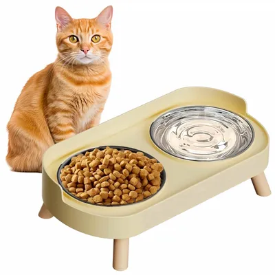 FurryFusion Ensemble de bols surélevés pour chats FurryFusion Ensemble de bols surélevés pour chats
