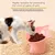 ZooVenture Gamelle Chat Inclinée - 15°, Verte, 13x7,5 cm ZooVenture Gamelle Chat Inclinée - 15°, Verte, 13x7,5 cm