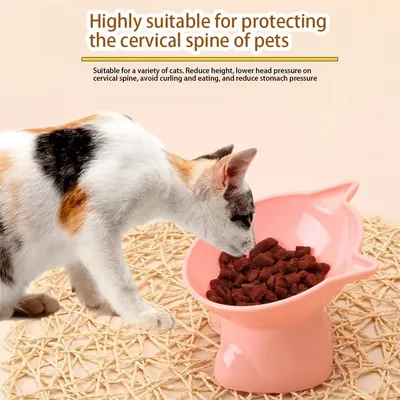 ZooVenture Gamelle Chat Inclinée - 15°, Verte, 13x7,5 cm ZooVenture Gamelle Chat Inclinée - 15°, Verte, 13x7,5 cm