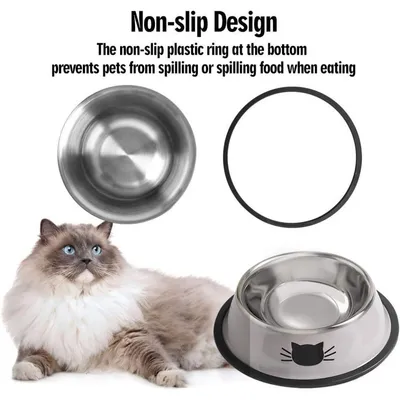 ZooVenture Gamelle Chat Inox 2 Pièces Anti-dérapante ZooVenture Gamelle Chat Inox 2 Pièces Anti-dérapante