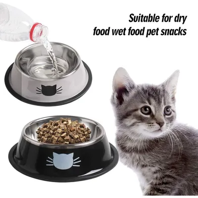 ZooVenture Gamelle Chat Inox 2 Pièces Anti-dérapante ZooVenture Gamelle Chat Inox 2 Pièces Anti-dérapante