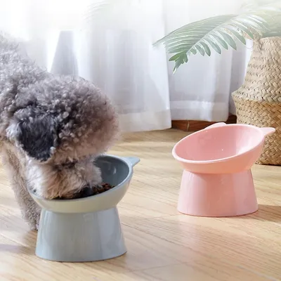 MCBOSON Bleu Inclinée Anti-vomissement Surélevée Gamelle Chat MCBOSON Bleu Inclinée Anti-vomissement Surélevée Gamelle Chat