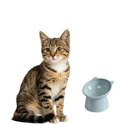 MCBOSON Bleu Inclinée Anti-vomissement Surélevée Gamelle Chat MCBOSON Bleu Inclinée Anti-vomissement Surélevée Gamelle Chat