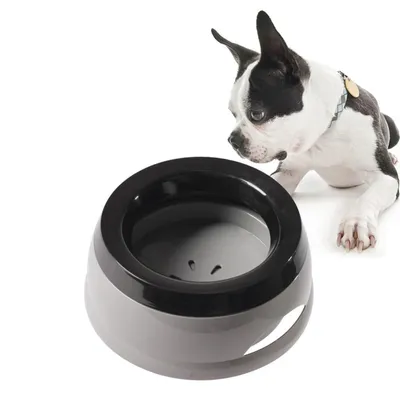 FurryFusion Bol d'eau anti-renversement pour chiens et chats FurryFusion Bol d'eau anti-renversement pour chiens et chats