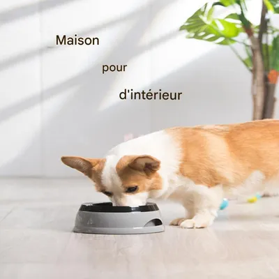 FurryFusion Bol d'eau anti-renversement pour chiens et chats FurryFusion Bol d'eau anti-renversement pour chiens et chats