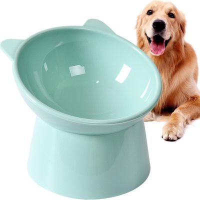 ZooVenture Gamelle Chat Inclinée - 7,87 cm, Sans BPA