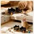 ZooVenture Gamelle Chat Ceramique Bois 2P ZooVenture Gamelle Chat Ceramique Bois 2P