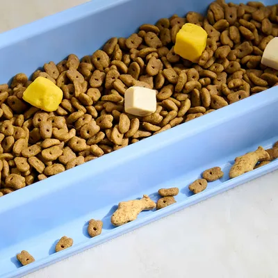 FurryFusion Bol d'alimentation pour chats à bordure anti-renversement FurryFusion Bol d'alimentation pour chats à bordure anti-renversement