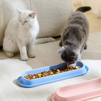 FurryFusion Bol d'alimentation pour chats à bordure anti-renversement FurryFusion Bol d'alimentation pour chats à bordure anti-renversement
