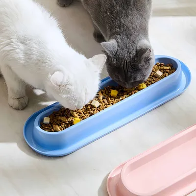 FurryFusion Bol d'alimentation pour chats à bordure anti-renversement FurryFusion Bol d'alimentation pour chats à bordure anti-renversement