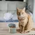 Zoomtopia Gamelle chat inclinable anti-vomissement bleue ABS Zoomtopia Gamelle chat inclinable anti-vomissement bleue ABS