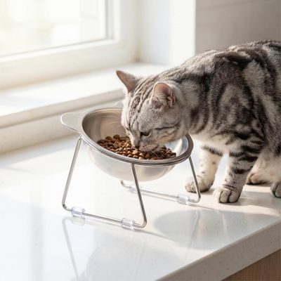 ZooVenture Schräge Edelstahlschüsseln SUS304, 2 Stück, 500 ml