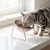 ZooVenture Gamelle Chat Inclinee Acier Inox 2P ZooVenture Gamelle Chat Inclinee Acier Inox 2P