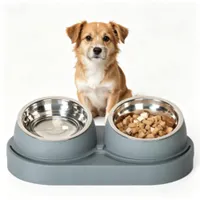 ZooVenture Gamelle Double Bol Inox - 15° Incliné