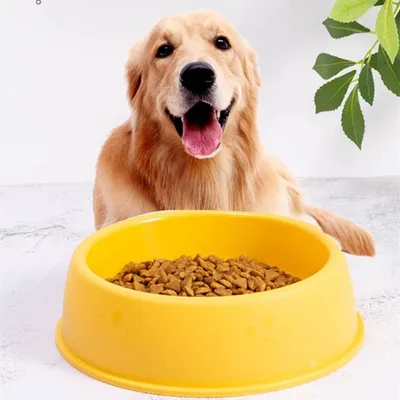 ZooVenture Gamelle Chat Plastique Colorée 4P
