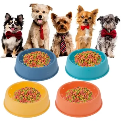 ZooVenture Gamelle Chat Plastique Colorée 4P