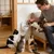 Zoomtopia Gamelle eau surélevée chat chien inox antidérapant blanc Zoomtopia Gamelle eau surélevée chat chien inox antidérapant blanc