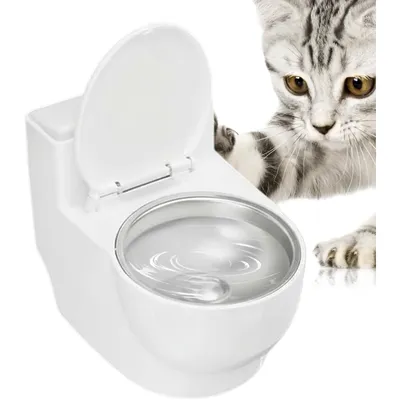 Zoomtopia Gamelle eau surélevée chat chien inox antidérapant blanc Zoomtopia Gamelle eau surélevée chat chien inox antidérapant blanc
