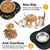 ZooVenture Station Alimentation Inoxydable Silicone ZooVenture Station Alimentation Inoxydable Silicone
