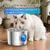 Zoomtopia Fontaine chat acier inox 304 2,2L silencieuse fenêtre eau Zoomtopia Fontaine chat acier inox 304 2,2L silencieuse fenêtre eau