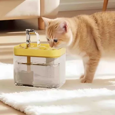 FurryFusion Biberon d'eau circulant automatiquement pour chats FurryFusion Biberon d'eau circulant automatiquement pour chats
