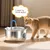 PetTribes Fontaine Eau Chat Inox 2.6L - Distributeur Silencieux Automatique PetTribes Fontaine Eau Chat Inox 2.6L - Distributeur Silencieux Automatique