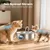 PetTribes Fontaine Eau Chat Inox 2.6L - Distributeur Silencieux Automatique PetTribes Fontaine Eau Chat Inox 2.6L - Distributeur Silencieux Automatique