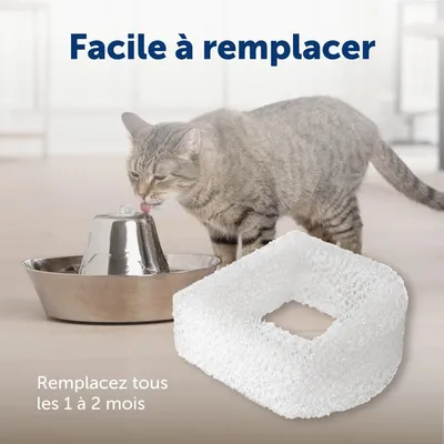 Applicable à PetSafe Lot 2 filtres mousse pour fontaines animaux blanc Applicable à PetSafe Lot 2 filtres mousse pour fontaines animaux blanc