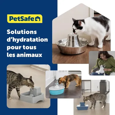 Applicable à PetSafe Lot 2 filtres mousse pour fontaines animaux blanc Applicable à PetSafe Lot 2 filtres mousse pour fontaines animaux blanc