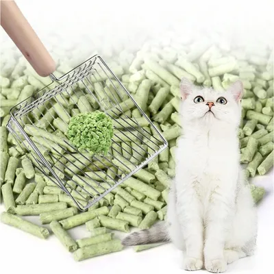 PetTribes Pelle à Litière Inoxydable Manche Bois Antirouille PetTribes Pelle à Litière Inoxydable Manche Bois Antirouille