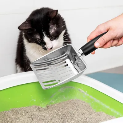 Edelstahl-Katzenstreuschaufel, robustes Gitter, Schwarz
