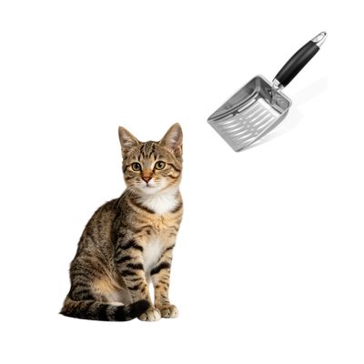 MCBOSON Maille robuste noir pelle litière chat acier inoxydable