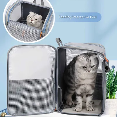 FurryFusion Sac de voyage pour chat FurryFusion Sac de voyage pour chat