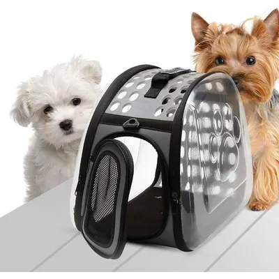 Zoomtopia Sac transport chat pliable 42x26x35cm noir maille Zoomtopia Sac transport chat pliable 42x26x35cm noir maille