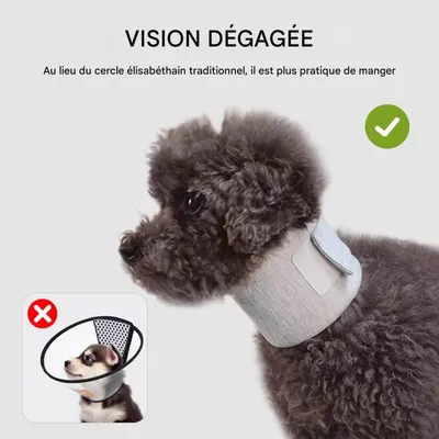 FurryFusion Postoperativer Schutzkragen für Hunde und Katzen